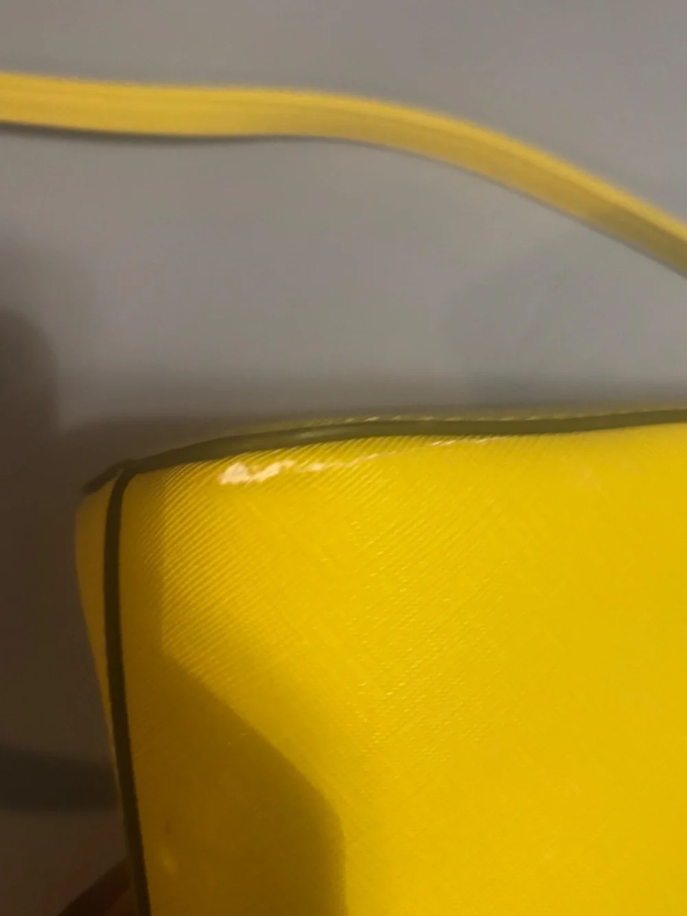 Steve Madden Yellow Crossbody Bag Full Zip